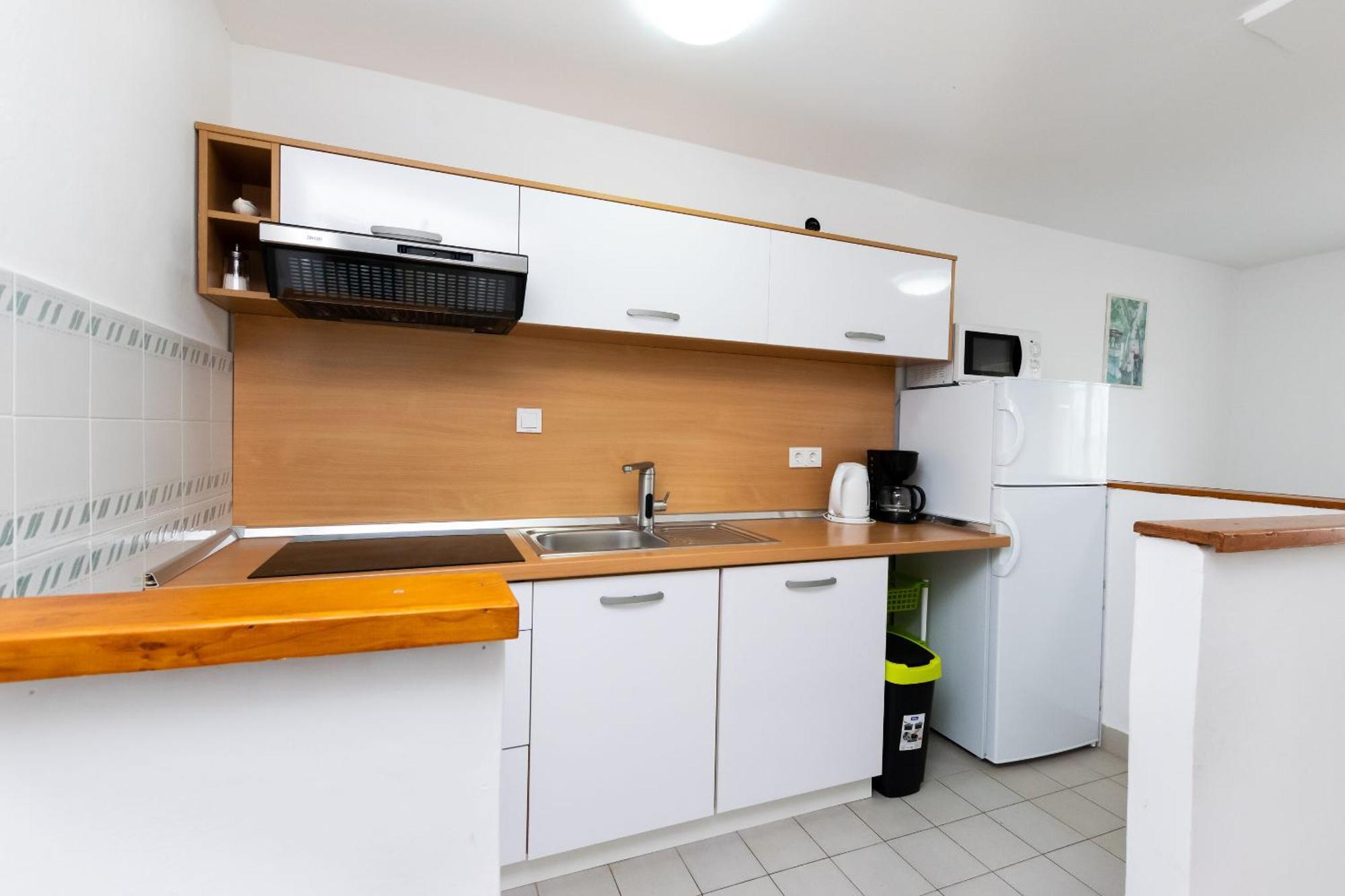 Apartments Anica F ロパール エクステリア 写真