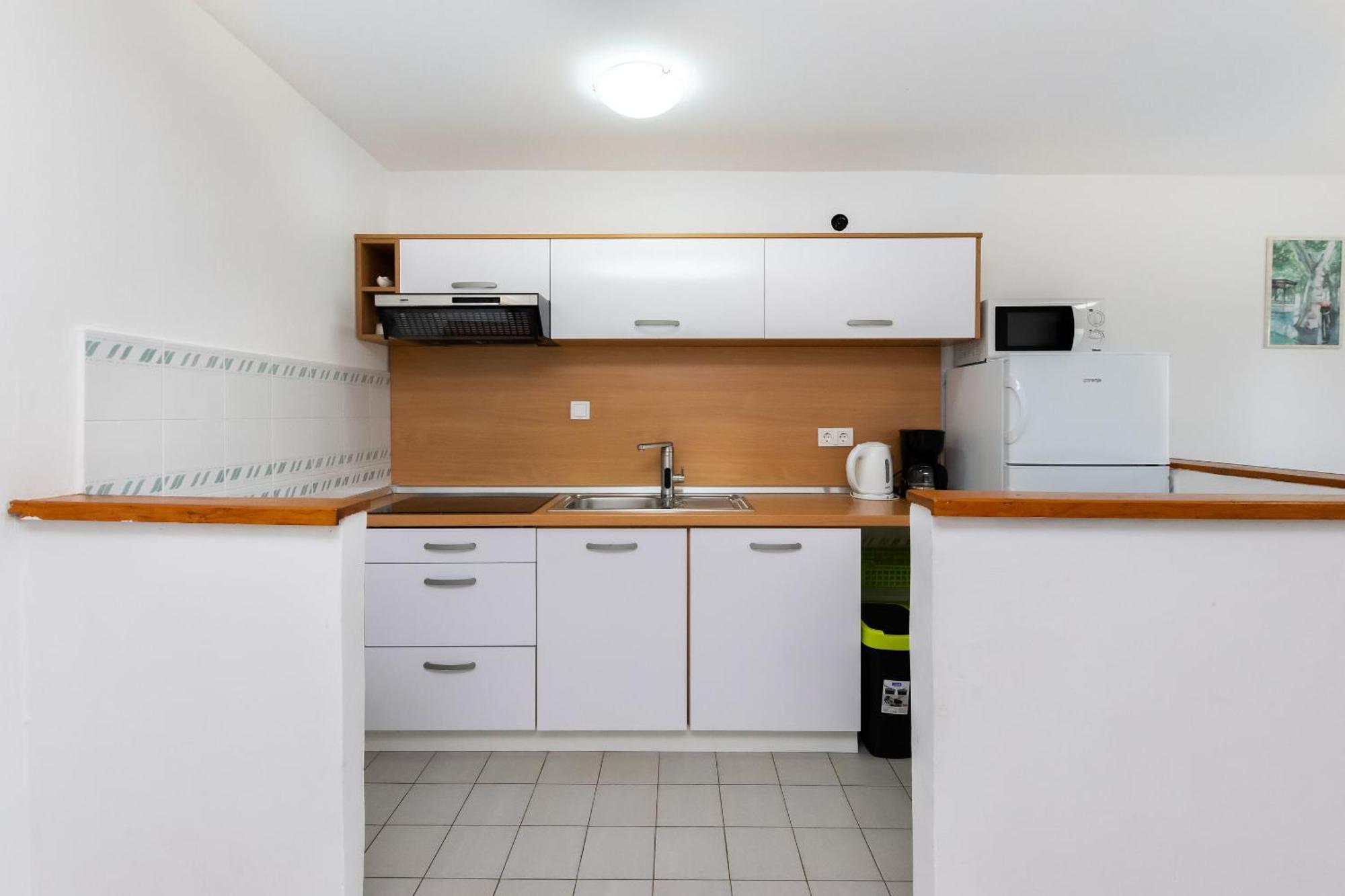 Apartments Anica F ロパール エクステリア 写真